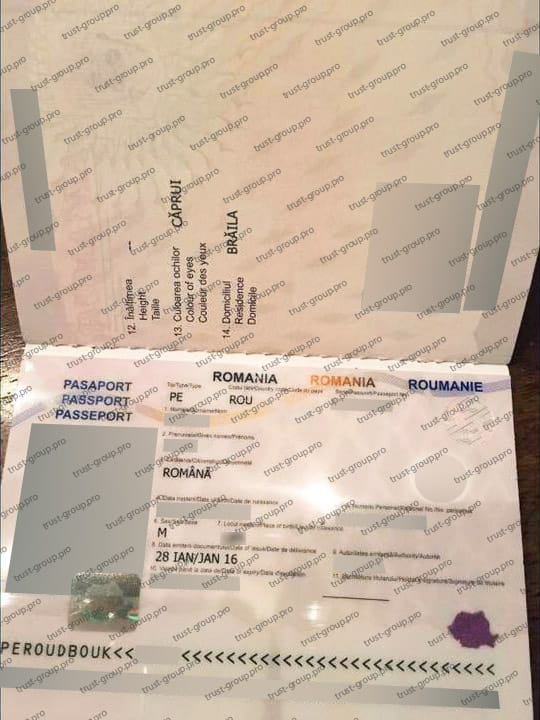 Заграничный паспорт гражданина Румынии