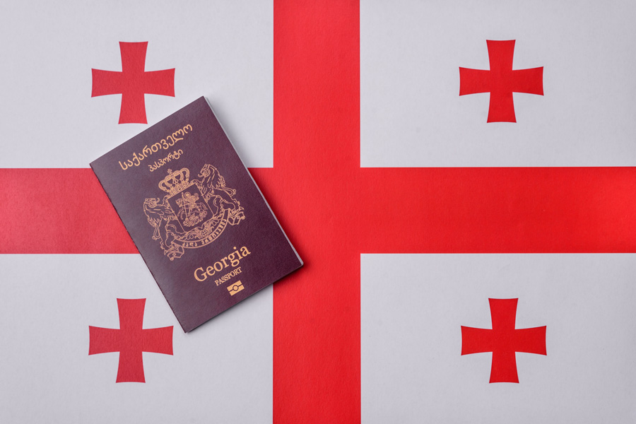 Паспорт Грузии